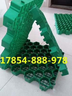 歡迎光臨、南京停車位植草格))股份丨歡迎您_南京植草格,南京停車位植草格,南京植草格公司,植草格,停車位植草格_供應信息_中國安防展覽網